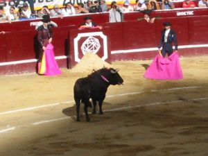 Bullfight28