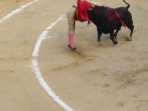 Bullfight37